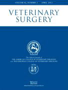 Veterinary Surgery Cover large